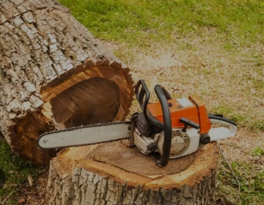 Reliable lawn mowing service in Malvern, AR by M&B Landscape Tree and Property Maintenance