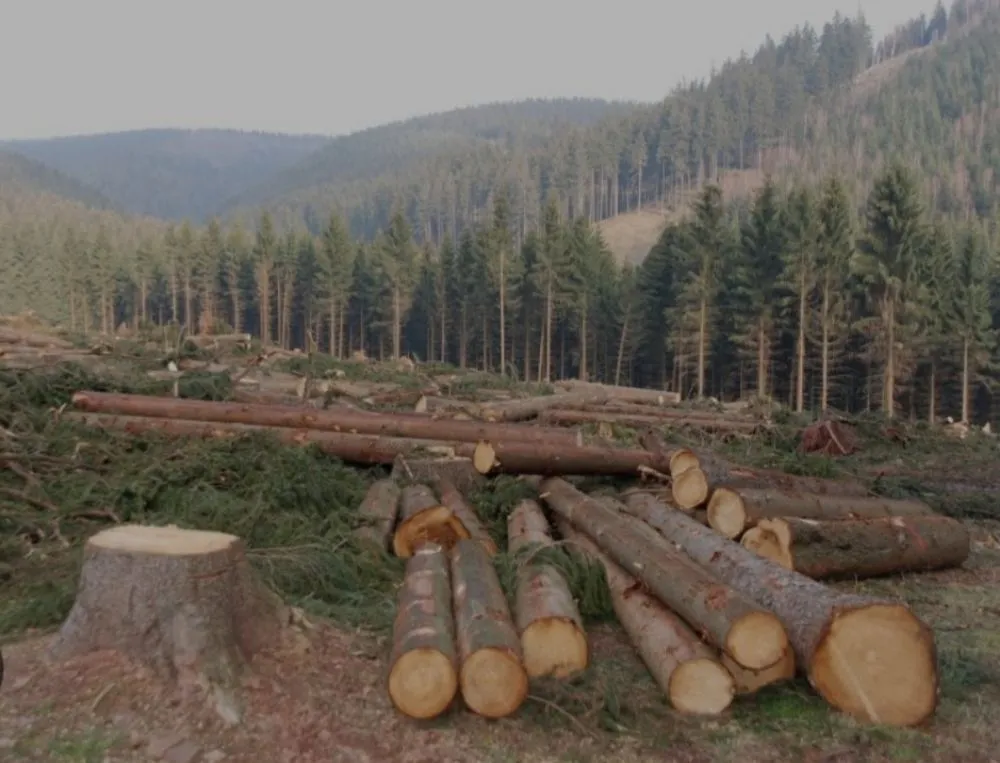 Reliable landscaping services for outdoor upgrades in Malvern, AR by M&B Landscape Tree and Property Maintenance