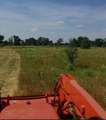 M&B Landscape Tree and Property Maintenance