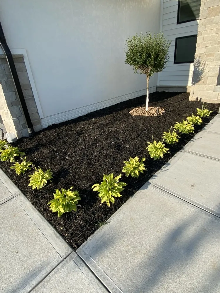 Expert landscaping services near you across Omaha, NE - Mb Landscaping & Junk Removal