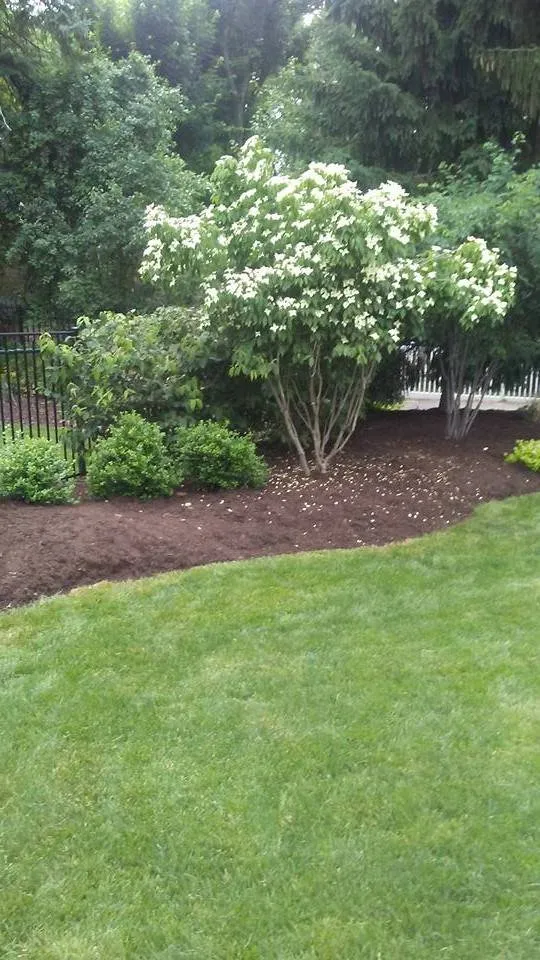 Trusted yard maintenance near you in Pittsburgh, PA by MB Landscaping and Gardening Service