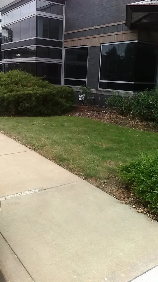 Expert yard maintenance in Pittsburgh, PA by MB Landscaping and Gardening Service