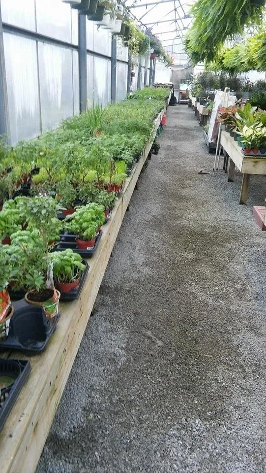 Local yard cleanup service experts serving Pittsburgh, PA - MB Landscaping and Gardening Service