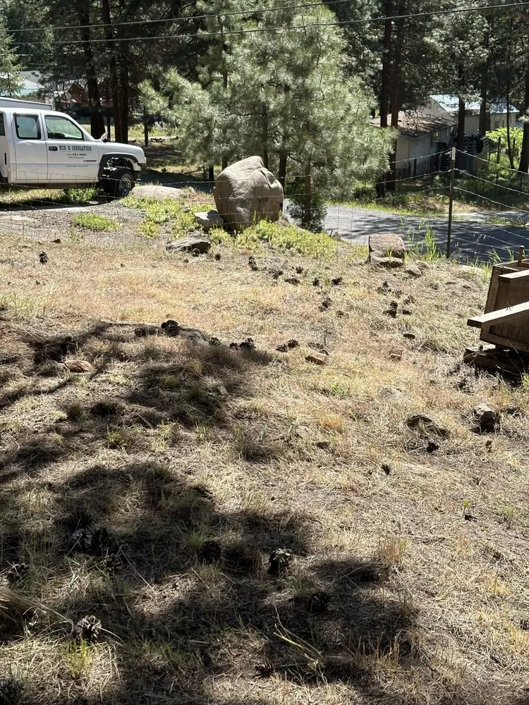 Expert yard maintenance for year-round maintenance in Klamath Falls, OR by MB Landscaping and Pressure Washing Services
