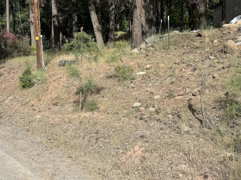 Professional lawn care service for beautiful yards across Klamath Falls, OR - MB Landscaping and Pressure Washing Services