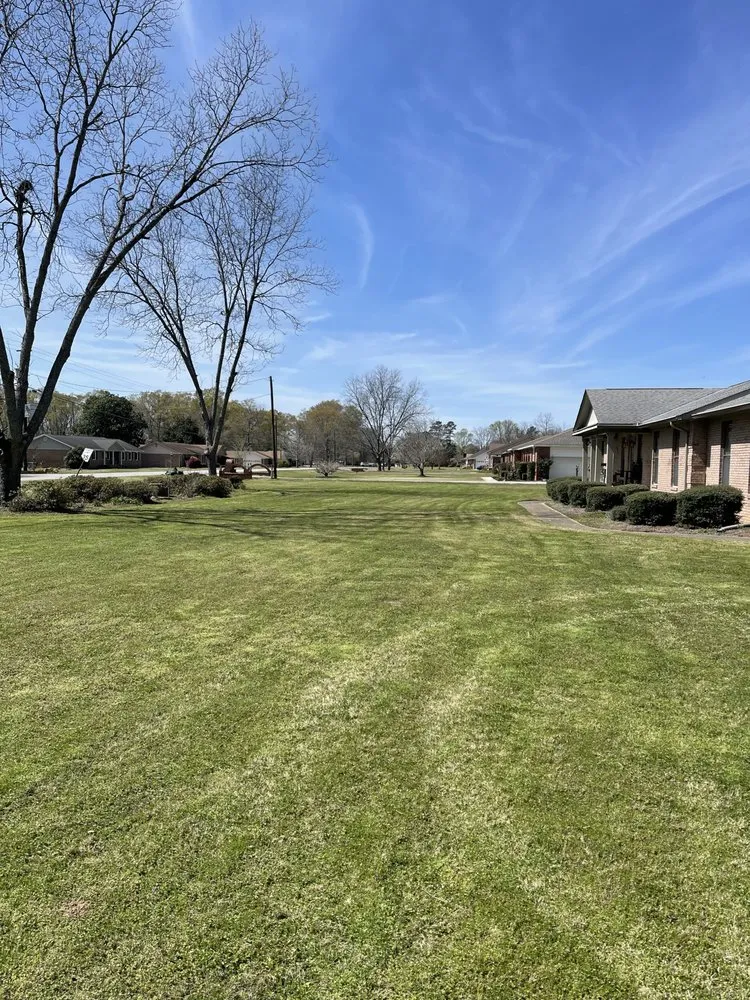 Expert landscaping services in Macon, GA by M&B Landscaping