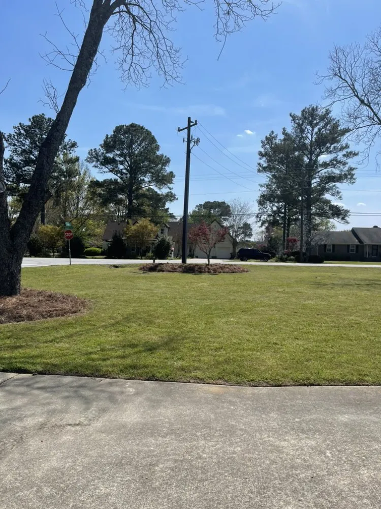 Affordable landscape installation in Macon, GA by M&B Landscaping