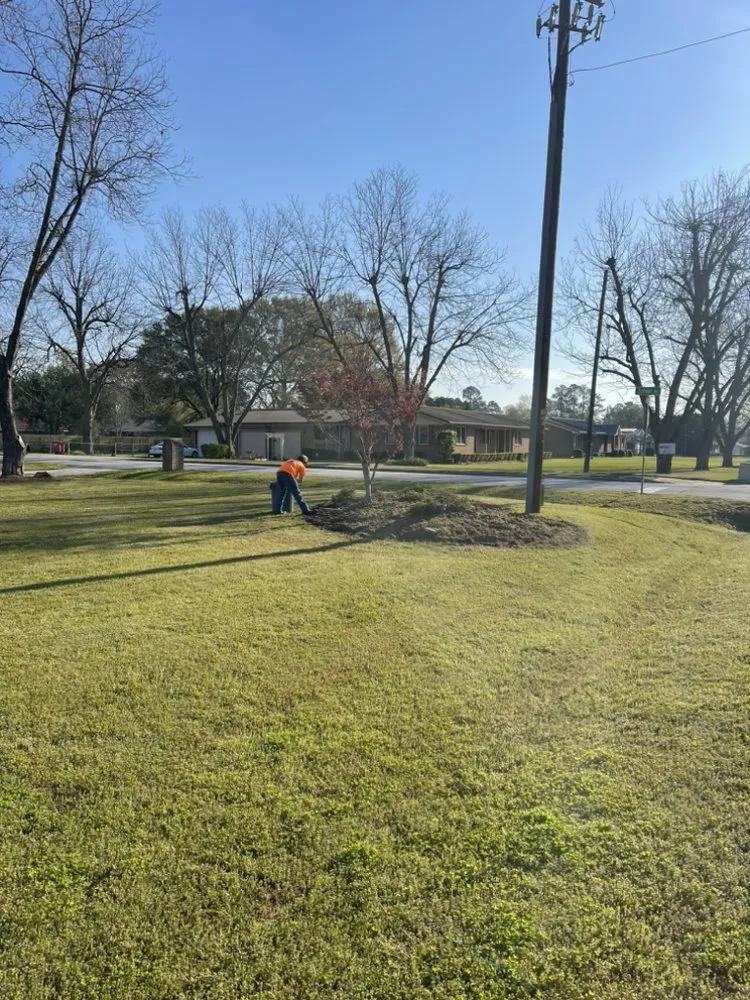 Trusted landscaping services in Macon, GA by M&B Landscaping