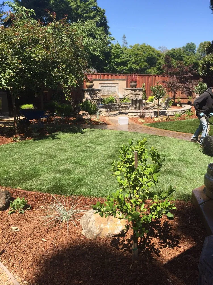 Affordable landscape installation experts serving San Jose, CA - MB Landscaping