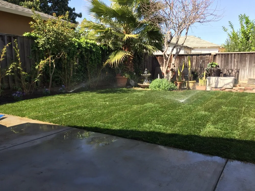 Professional outdoor landscaping in San Jose, CA - MB Landscaping