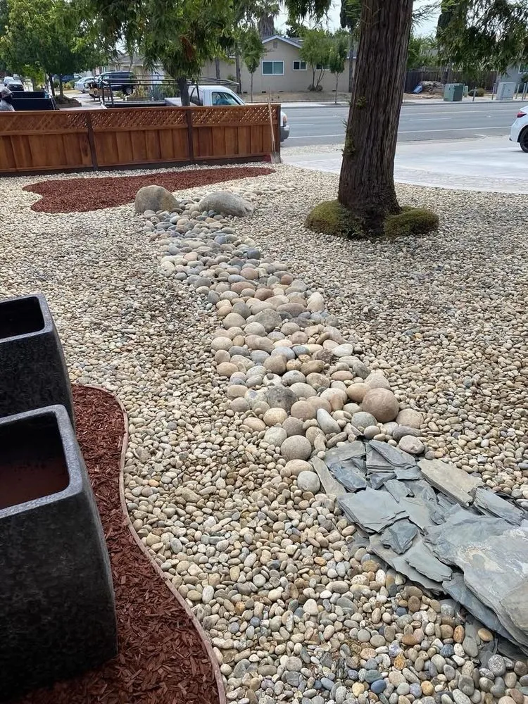 Custom yard cleanup service in San Jose, CA - MB Landscaping