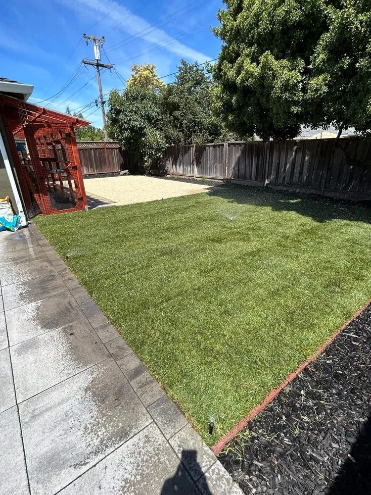 Trusted yard maintenance for year-round maintenance across San Jose, CA - MB Landscaping