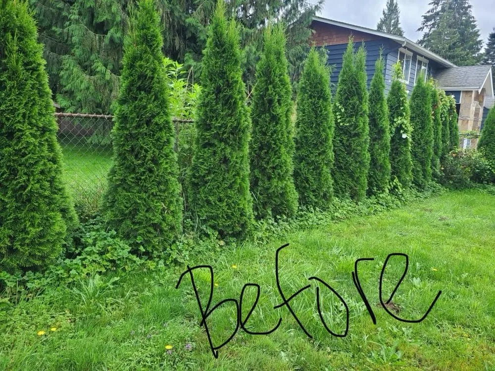 Affordable garden landscaping for beautiful yards across Sultan, WA - MB Landscaping