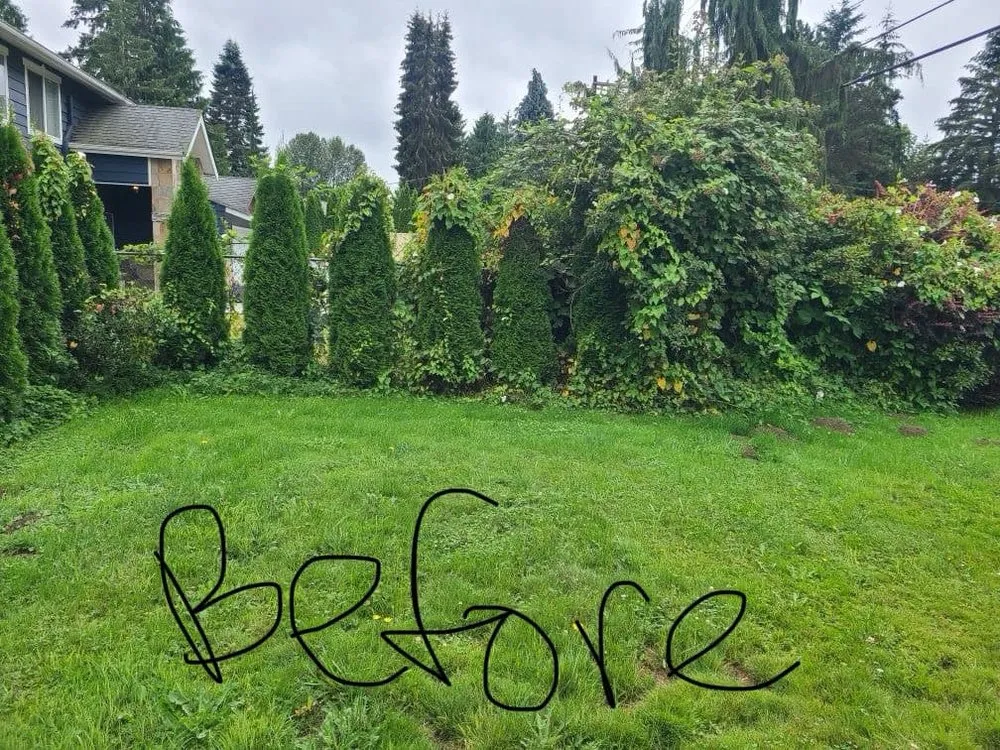 Local landscaping services for residential properties in Sultan, WA by MB Landscaping