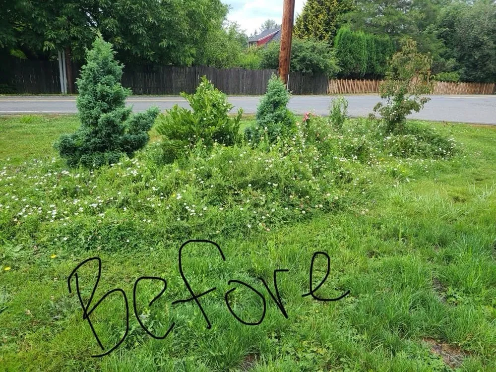 Custom outdoor landscaping in Sultan, WA - MB Landscaping