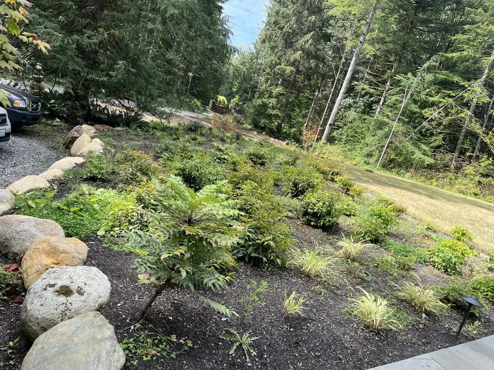 Affordable lawn care service near you in Sultan, WA by MB Landscaping