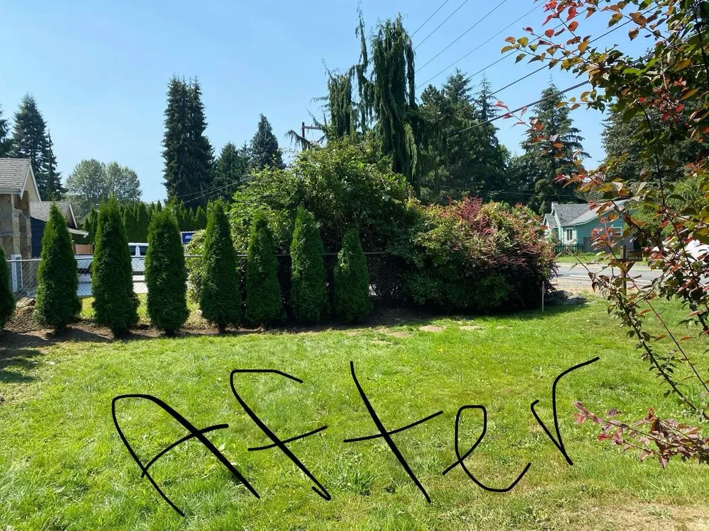 Affordable lawn mowing service in Sultan, WA by MB Landscaping