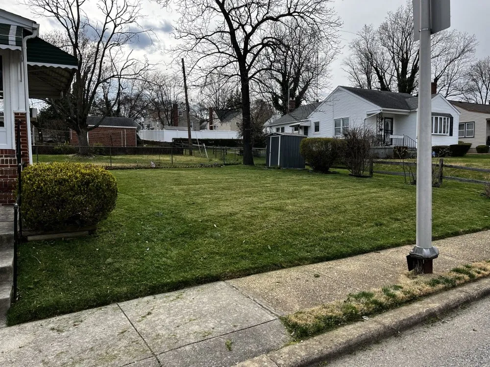 Expert yard cleanup service in Baltimore, MD by MB Lawn Care and Curb Appeal