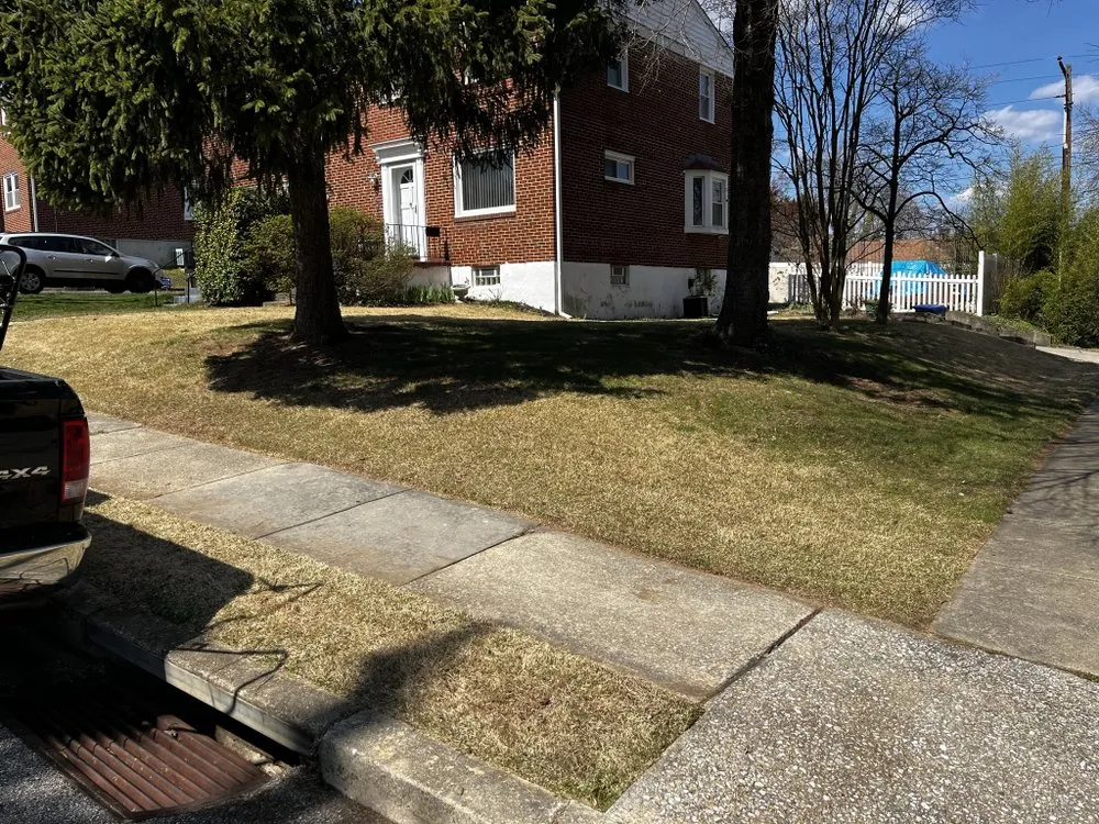 Top-rated landscaping services in Baltimore, MD by MB Lawn Care and Curb Appeal