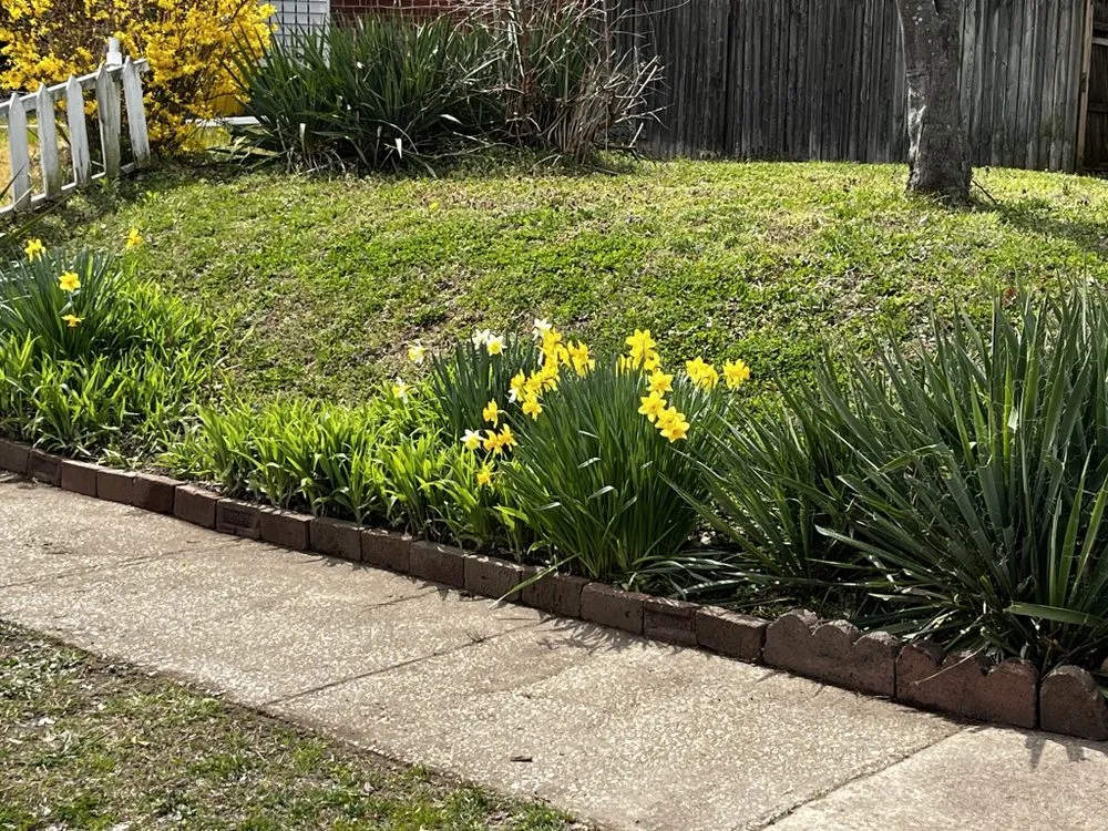 Affordable outdoor landscaping for year-round maintenance in Baltimore, MD by MB Lawn Care and Curb Appeal