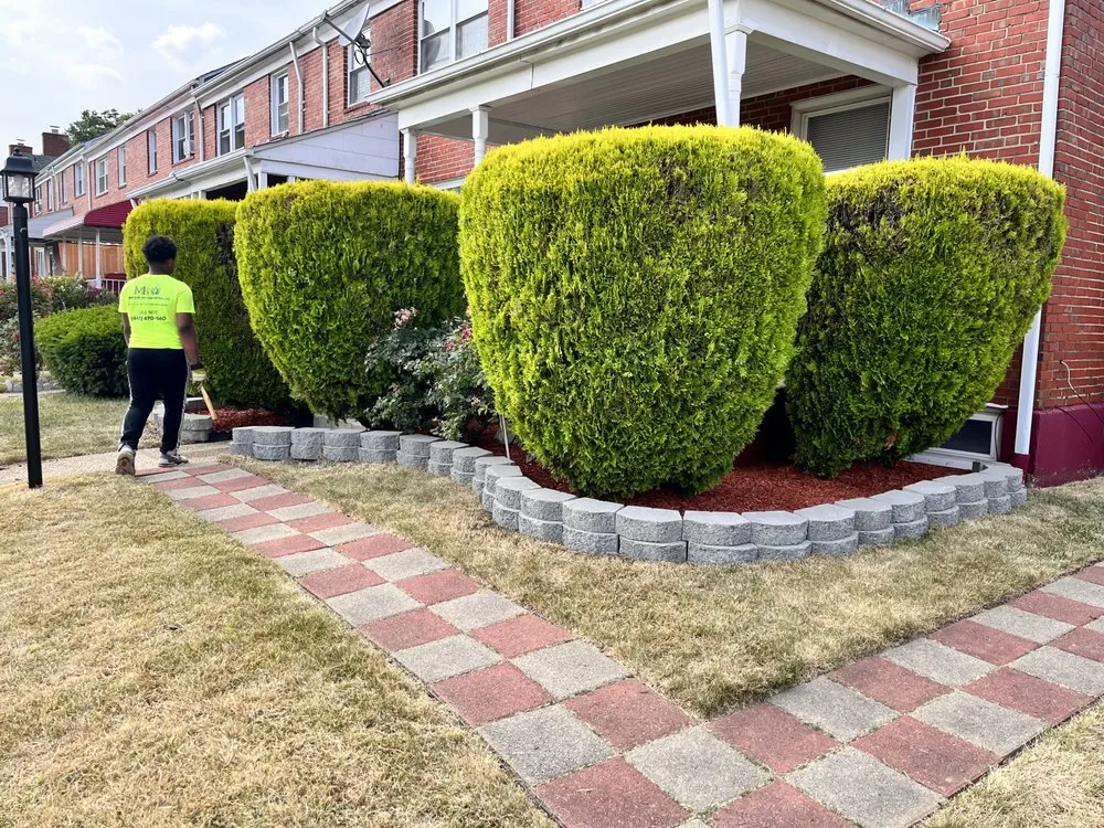 Top-rated yard cleanup service for beautiful yards in Baltimore, MD by MB Lawn Care and Curb Appeal