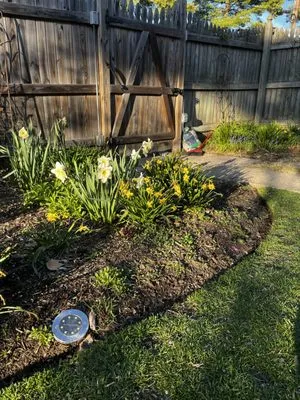 MB Lawn Care and Curb Appeal Logo