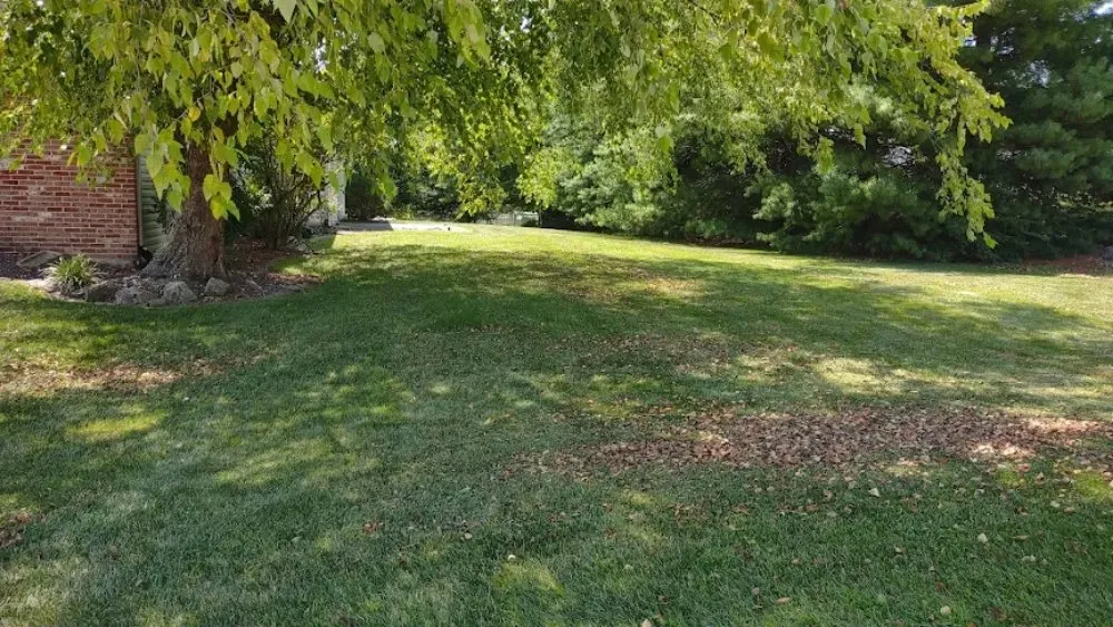 Affordable landscaping services with custom design across Swansea, IL - M.B Lawn Care