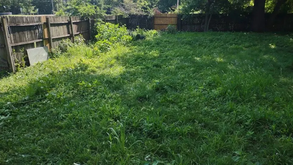 Affordable yard maintenance experts serving Swansea, IL - M.B Lawn Care