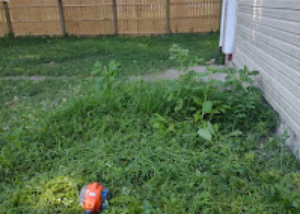 Trusted landscape installation in Swansea, IL by M.B Lawn Care