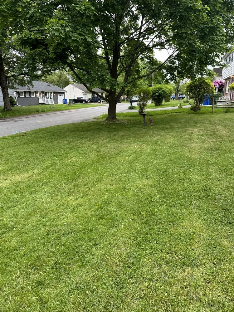 Trusted landscape design experts serving Middletown, NY - M&B Lawn Solutions