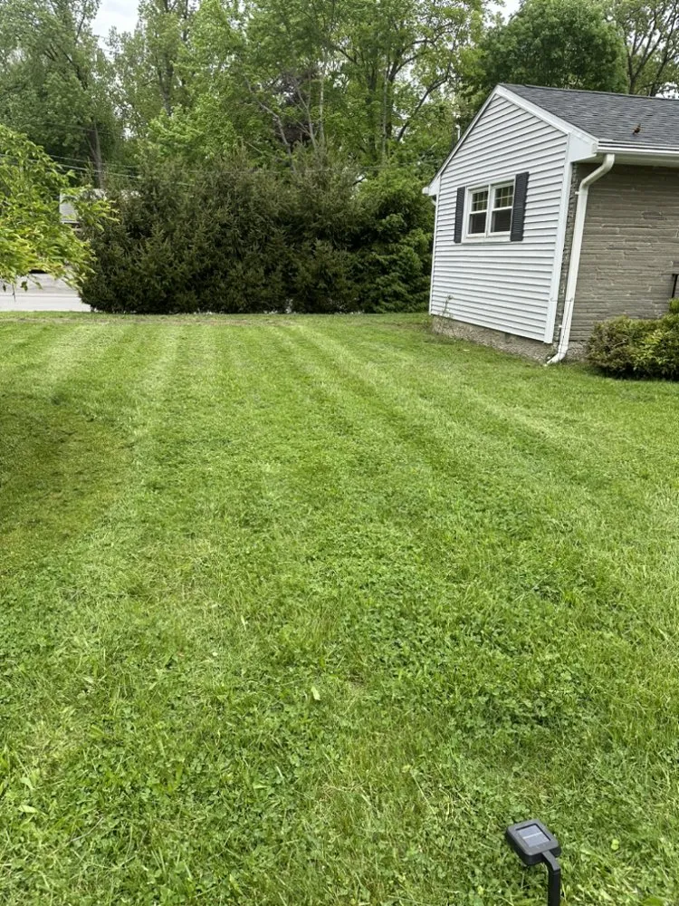 Reliable lawn care service for outdoor upgrades in Middletown, NY by M&B Lawn Solutions