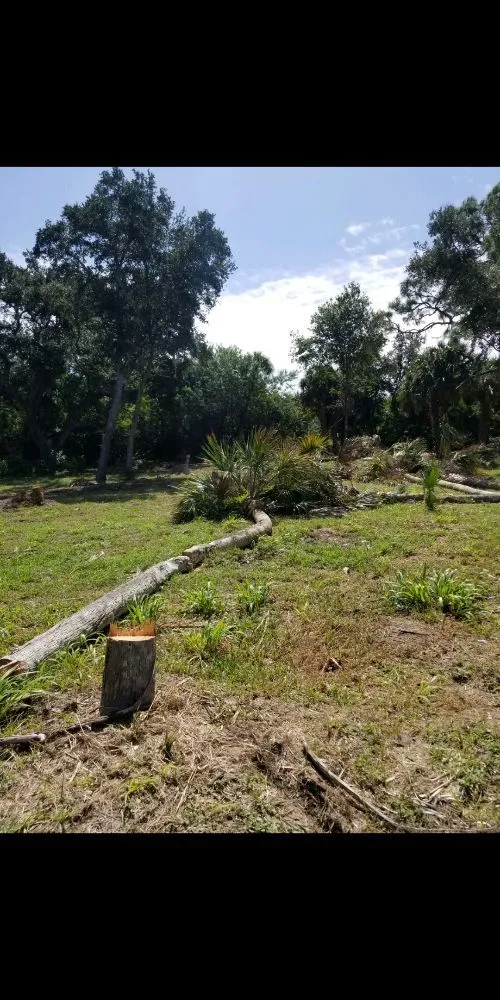 Affordable lawn care service in Cocoa, FL - MB Lawns