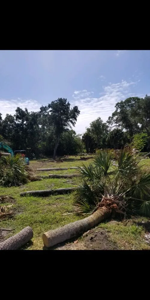 Local landscape design experts serving Cocoa, FL - MB Lawns
