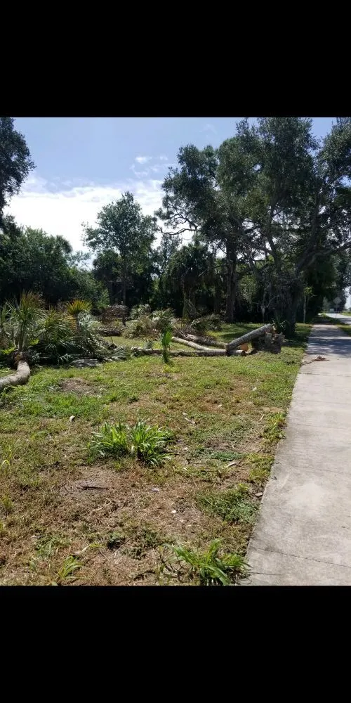 Trusted lawn care service in Cocoa, FL by MB Lawns