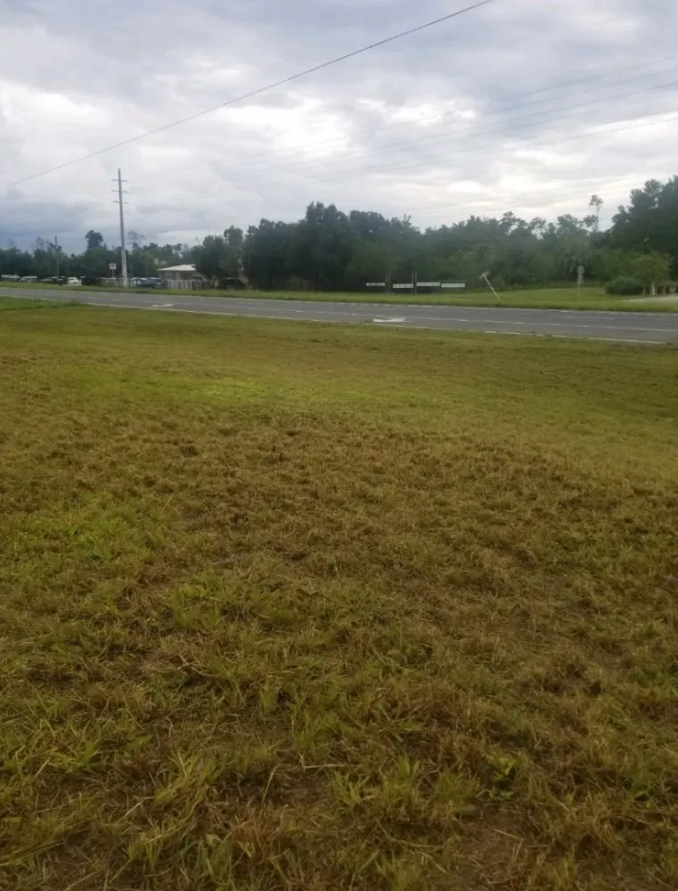 Reliable garden landscaping in Cocoa, FL by MB Lawns