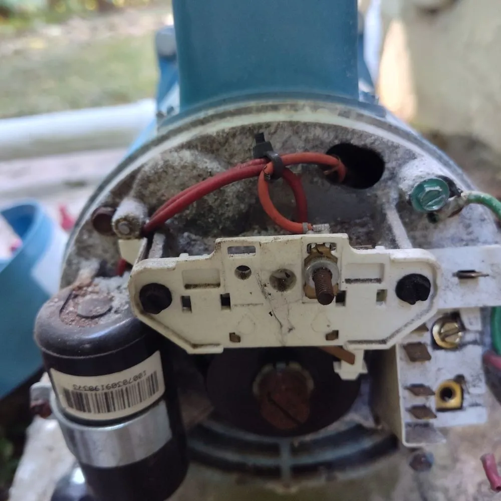 Professional garden landscaping for year-round maintenance in North Miami Beach, FL by Mb Mowing