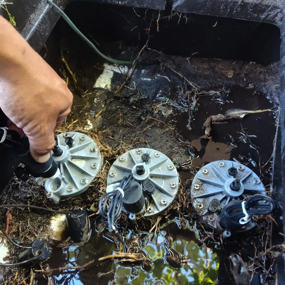 Affordable landscaping services in North Miami Beach, FL - Mb Mowing