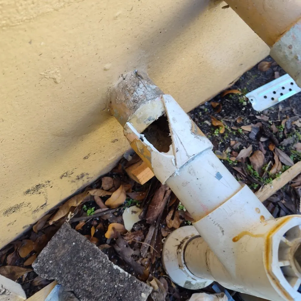 Reliable garden landscaping for year-round maintenance across North Miami Beach, FL - Mb Mowing