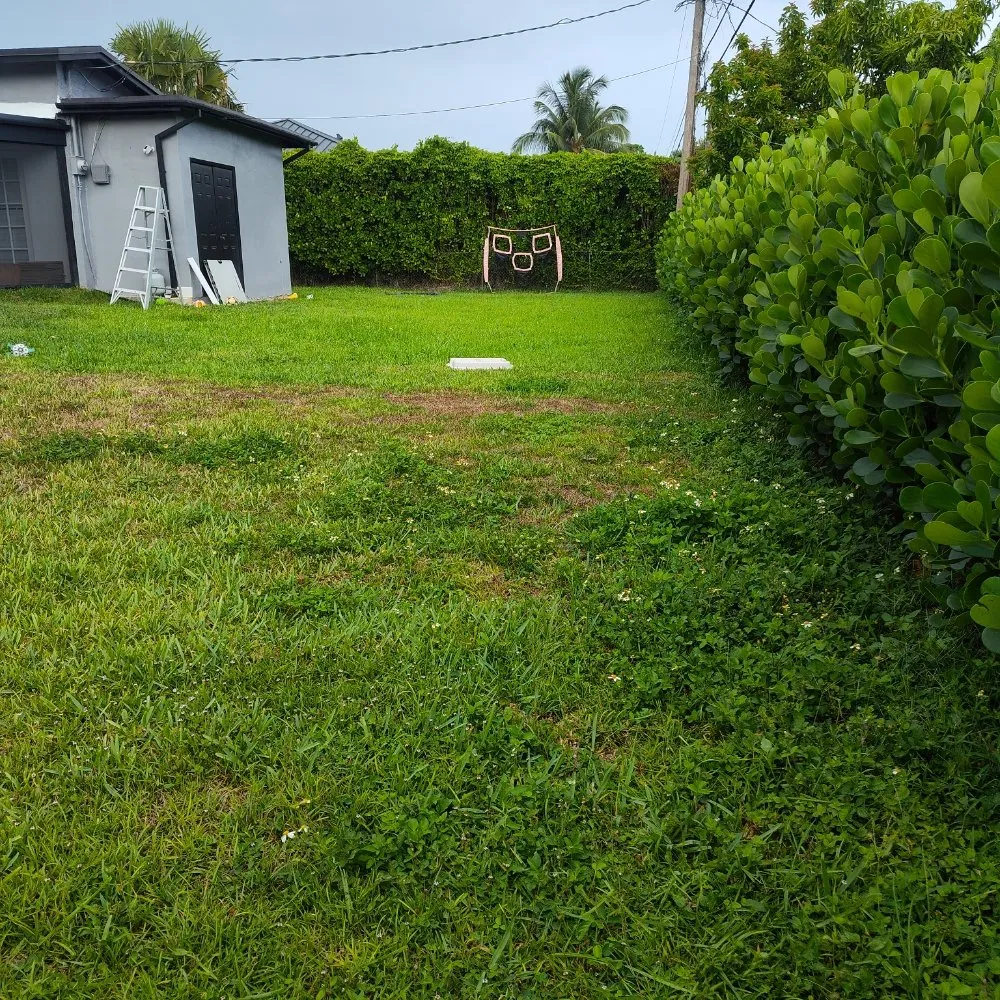 Custom garden landscaping in North Miami Beach, FL by Mb Mowing