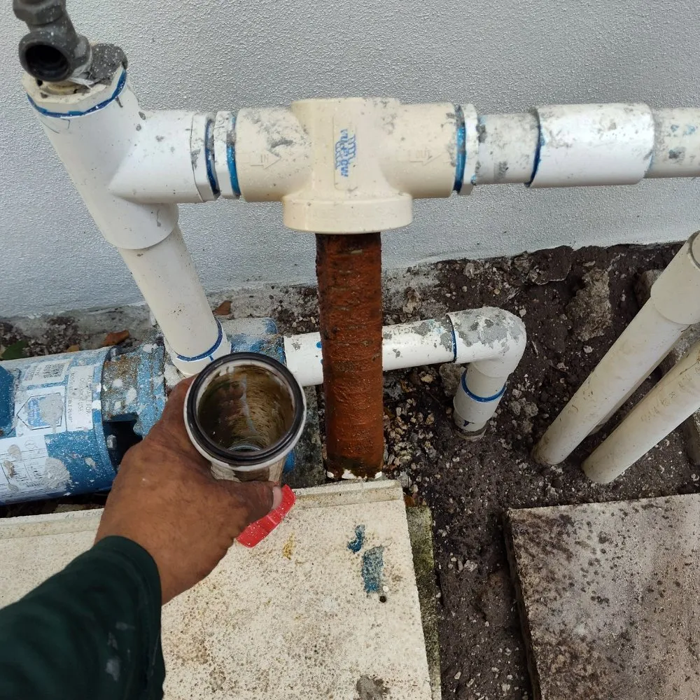 Reliable yard cleanup service for year-round maintenance across North Miami Beach, FL - Mb Mowing