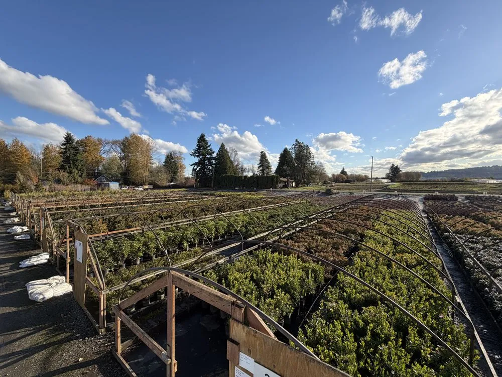 Local garden landscaping for homes in Kent, WA by MB Nursery & Landscape Supply