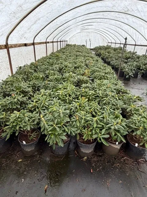 Affordable garden landscaping experts serving Kent, WA - MB Nursery & Landscape Supply