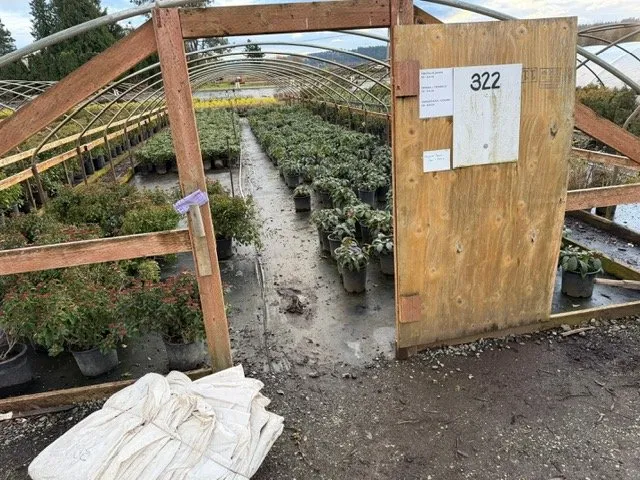 Professional landscape installation in Kent, WA by MB Nursery & Landscape Supply