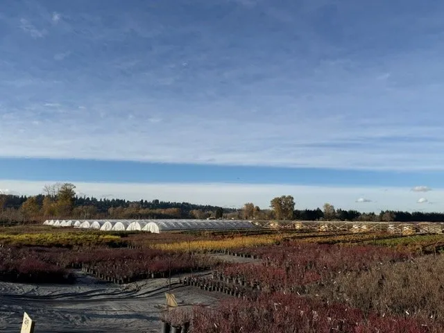 Expert lawn care service in Kent, WA - MB Nursery & Landscape Supply