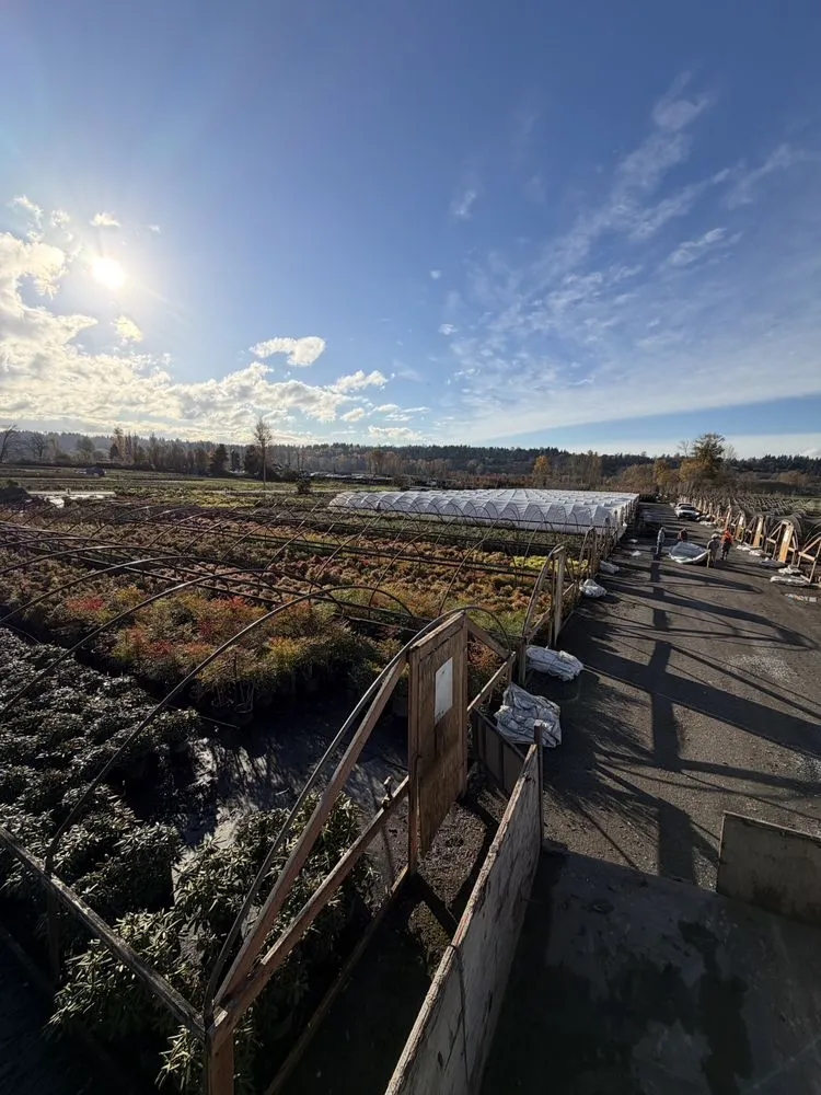 Reliable yard cleanup service near you in Kent, WA by MB Nursery & Landscape Supply