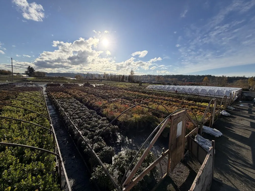 Custom outdoor landscaping for beautiful yards in Kent, WA by MB Nursery & Landscape Supply