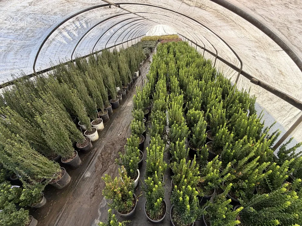 Local lawn mowing service experts serving Kent, WA - MB Nursery & Landscape Supply