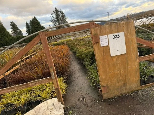 Top-rated yard maintenance for year-round maintenance in Kent, WA by MB Nursery & Landscape Supply