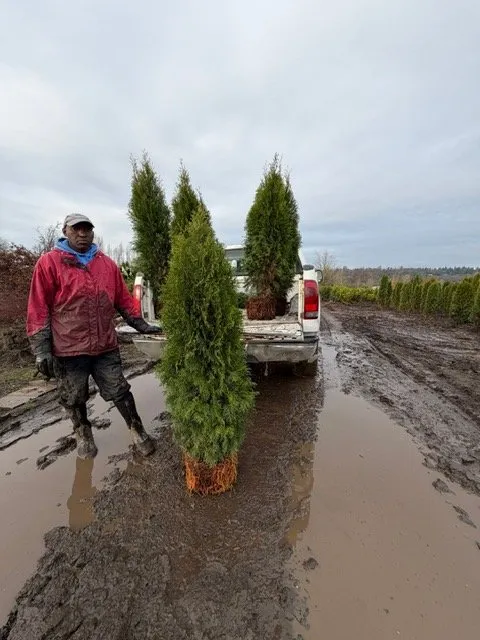 Affordable lawn mowing service for beautiful yards in Kent, WA by MB Nursery & Landscape Supply