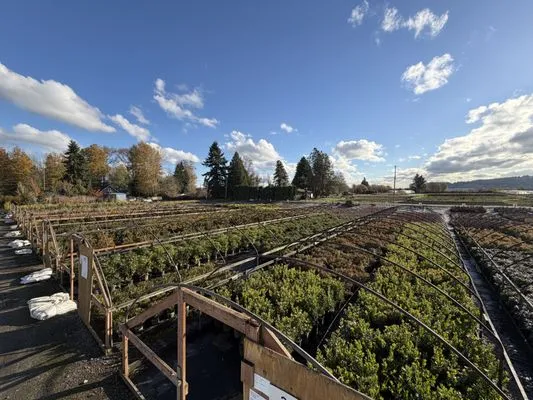 MB Nursery & Landscape Supply Logo